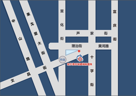 冰城皮肤病医院地址